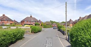 Ardern Avenue, in Dawley, Telford. Picture: Google Maps