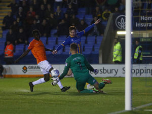 Supporting image for story: Shrewsbury Town 1 Southend 0 - Report and pictures
