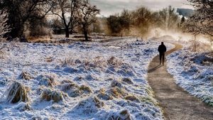 Winter path