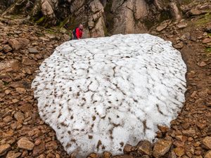 Supporting image for story: Snow patch deemed ‘barometer for climate change’ melts for fourth year in a row