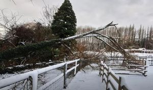 Damage caused by the storm. Image: Brockswood Animal Sanctuary