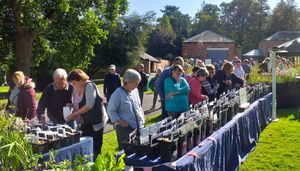 Plant Hunters' Fair at Weston Park