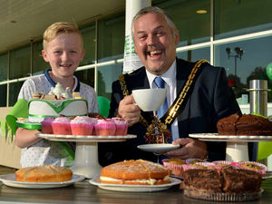 Supporting image for story: VIDEO: Eight-year-old Alfie's amazing work for cancer