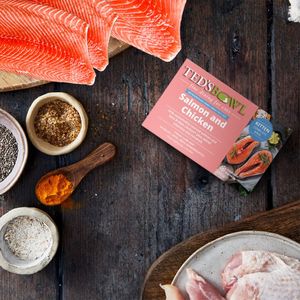 Salmon and chicken for cats 