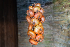 Golden onions are tied up in Greece for luck