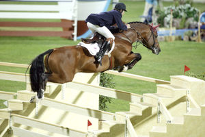Arko III jumping at the Olympics in Athens in 2004. Picture: Persburo Melissen
