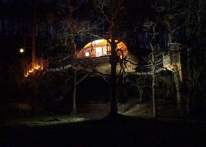 A Living Room tree house at night