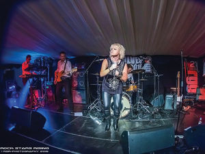 Supporting image for story: Mystery guests to make appearance at this year's Wolvesfest in Wolverhampton