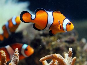 Supporting image for story: 9 useless but brilliant skills people still have because of their old job