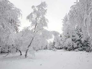 Supporting image for story: Warning of blizzards as freeze back