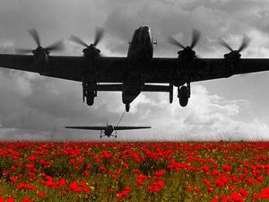 Supporting image for story: Glider society to host remembrance service in Staffordshire