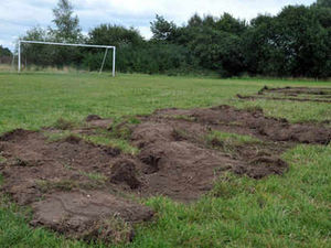 Supporting image for story: Digger rampage wrecks playing fields
