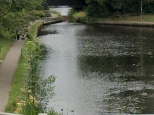 Supporting image for story: 'It was a horror show' says mum of four year old as they watched newly hatched cygnets killed in canal side 
