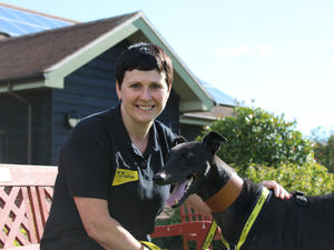 Supporting image for story: Workshops on how to handle man's best friend for Shropshire primary school pupils
