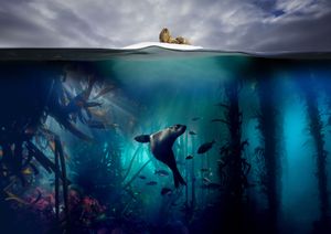 David Attenborough’s Blue Planet has changed our views on plastic and its link to pollution