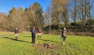 Supporting image for story