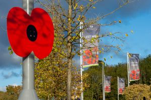 Poppies were seen decorating lampposts around Barratt homes developments