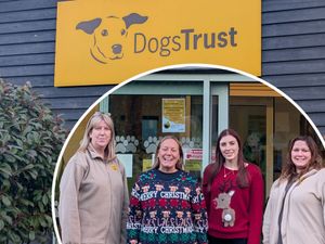 Supporting image for story: Give a dog a tail-wagging Christmas: Shrewsbury estate agents a Dogs Trust donation point