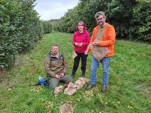 Supporting image for story: Council gains funds to help improve greenery around borough