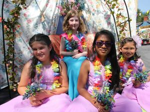 Supporting image for story:  Bishop's Castle town carnival at risk of ending after 130 years