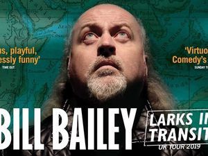 Supporting image for story: Bill Bailey to return to Arena Birmingham 