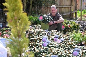 Supporting image for story: 'I help people to create their dream gardens at my Shropshire plant centre'