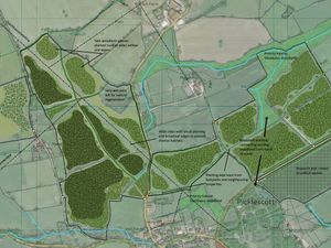 Supporting image for story: Residents' views wanted on plans for new 52-hectare Coronation Wood in south Shropshire