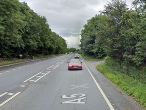 Supporting image for story: Two horses killed in late-night A5 crash before Easter