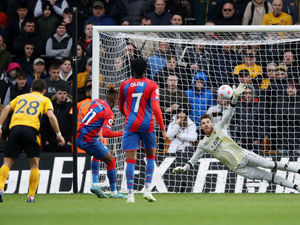 Supporting image for story: Wolves 0 Crystal Palace 2 - Report 