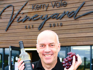 Supporting image for story: Shropshire Vineyard launches new white wine made from red grapes