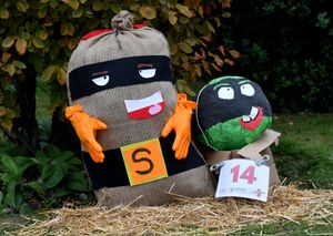 Scarecrows fill the village of Pattingham for the scarecrow festival this weekend.