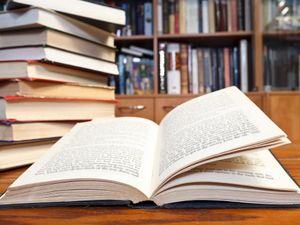 Supporting image for story: Peter Rhodes on lockdown literature, the optimistic Victorians and how to bore a virus to death