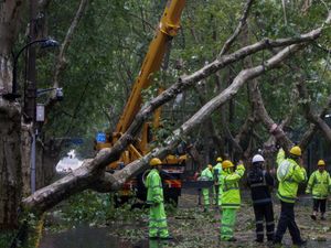 Supporting image for story: Two dead as Typhoon Bebinca hits east China before downgrading to tropical storm