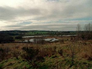 Supporting image for story: Parking charges to be introduced at Sandwell Valley Country Park