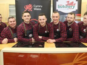 Supporting image for story: Family fun day out at Royal Welsh showground