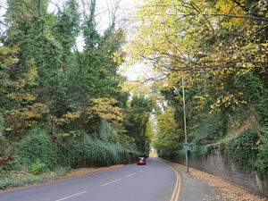Supporting image for story: Wolverhampton roadworks on busy main road to spark bus chaos