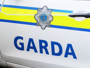 A stock picture of the Garda badge logo