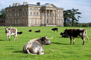 Supporting image for story: Attingham Park begins its next phase of improvements