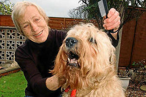 Supporting image for story: Star Danny bow-wows out after 10 years in Annie