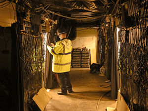 Supporting image for story: Man, 33, appears in court charged over industrial scale cannabis farm in the Black Country