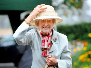 Supporting image for story: Church Stretton community centre prepares for royal visitor