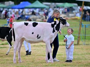 Supporting image for story: 19 fun-filled photos as Oswestry Show returns for 137th year