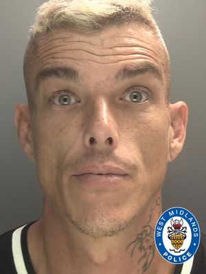 Opportunist David Allen told his victim he was a window cleaner to gain her trust