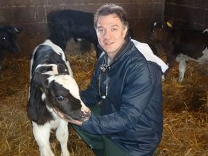 Supporting image for story: Shropshire farmers urged to beware of worm burden risk this autumn