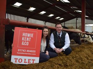 Supporting image for story: Chance to rent in industrial quarter of Shrewsbury