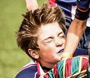 Supporting image for story