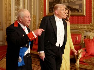 Supporting image for story: King urges Trump to protect the environment in state banquet speech