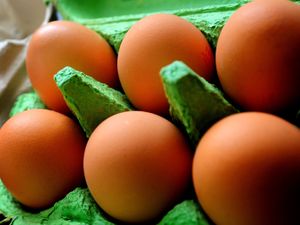 Supporting image for story: Egg shortage fears as farmers threaten to stop production over prices