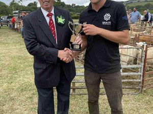 Supporting image for story: 14 great pictures from one of Radnorshire's annual agricultural shows