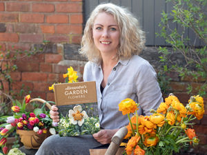 Supporting image for story: Wonderwool Wales to host special book launch 